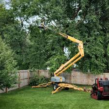 Landscape Design and Installation in Bee Ridge, FL