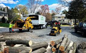 Best Tree Preservation Services  in Bee Ridge, FL